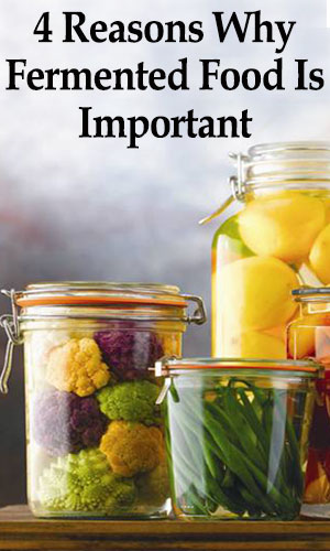 Why Fermented Food Is Important