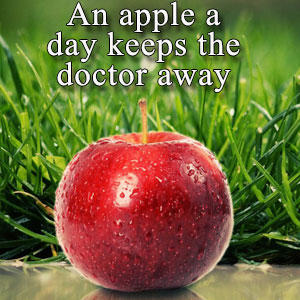 Quotes about Food and Nutrition
