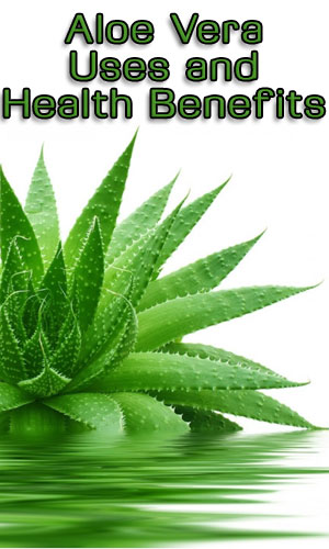 Aloe Vera Uses And Health Benefits