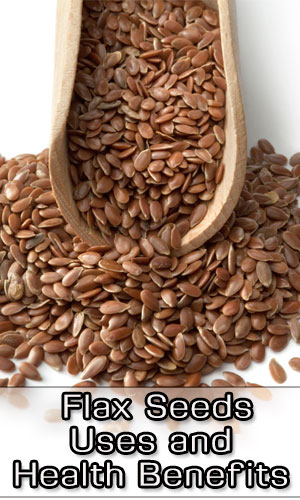 Flax Seeds Uses and Health Benefits
