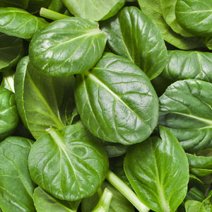 Top 10 Foods Highest in Zinc Top 10 Foods Highest in Zinc