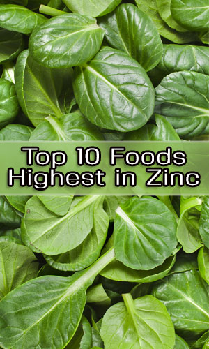 Top 10 Foods Highest in Zinc