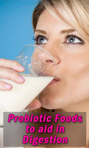 Probiotic Foods to aid in Digestion